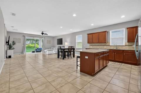 30115 Cheval Street, Mount Dora FL - photo 7 of 29