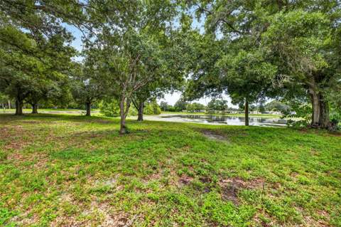 6320 66th Avenue, Pinellas Park FL - photo 7 of 60