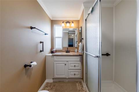 5302 Powhattan Street, Zephyrhills FL - photo 15 of 50