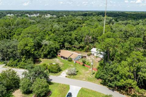 35011 Haines Creek Road, Leesburg FL - photo 13 of 24