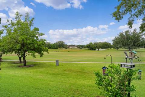 16840 SE 85th Sapelo Court, The Villages FL - photo 6 of 6