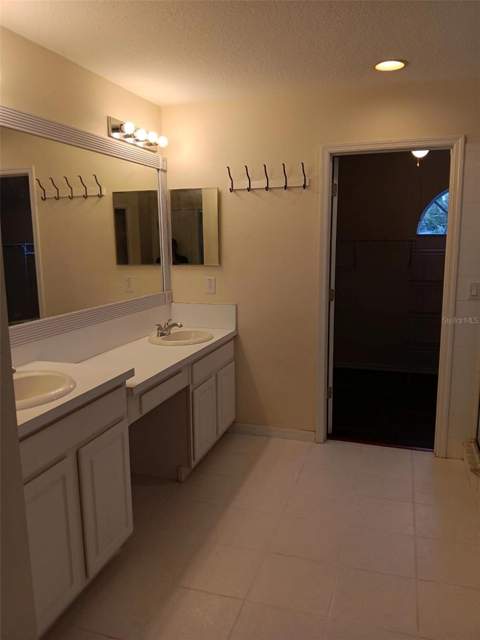 10415 Lucaya Drive, Tampa FL - photo 23 of 47