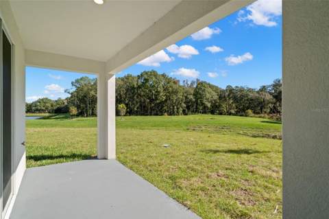 1393 Colt Creek Place, Wesley Chapel FL - photo 8 of 24