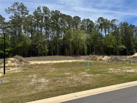 1047 SW 147th Terrace, Newberry FL - photo 6 of 6