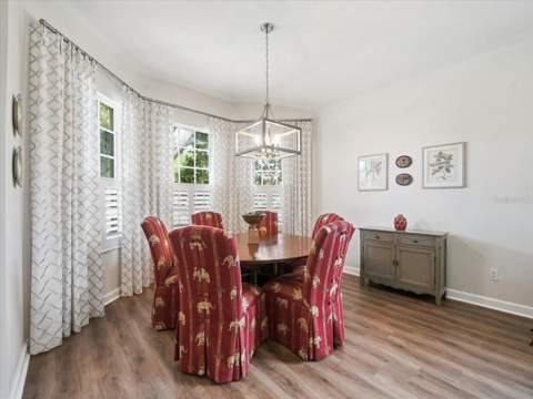 19409 Golden Slipper Place, Lutz FL - photo 7 of 50
