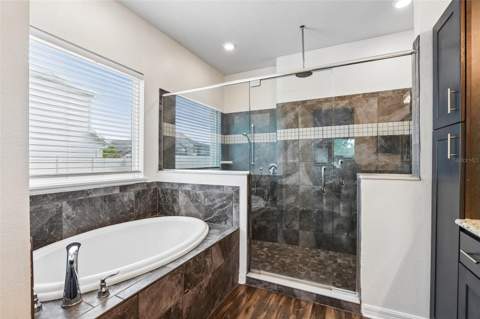 8245 Olive Brook Drive, Wesley Chapel FL - photo 15 of 40