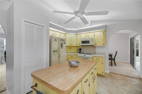 335 River Glass Court, Leesburg FL - photo 11 of 70