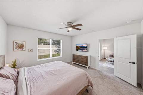 32844 Brooks Hawk Lane, Wesley Chapel FL - photo 16 of 48