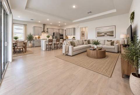 12564 Colonnade Vista Drive, Riverview FL - photo 6 of 6
