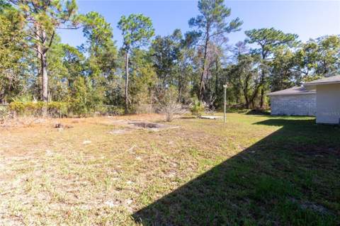 6447 Brandy Drive, Spring Hill FL - photo 7 of 25