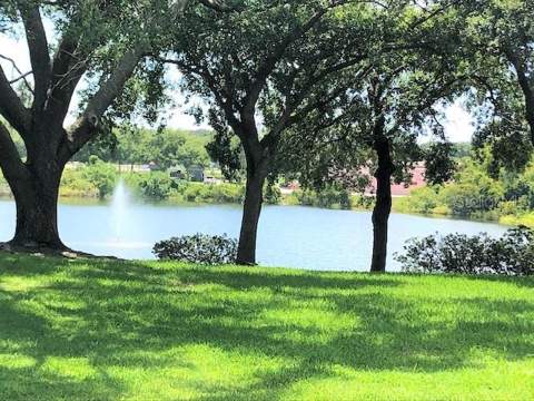 2690 Coral Landings Boulevard #438, Palm Harbor FL - photo 18 of 28