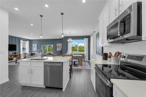 3812 Senna Way, Tavares FL - photo 8 of 46