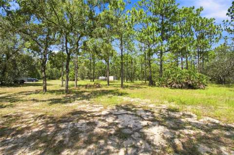 8279 Sunshine Grove Road, Brooksville FL - photo 8 of 76