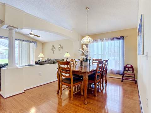 2873 Blooming Alamanda Loop, Kissimmee FL - photo 13 of 60