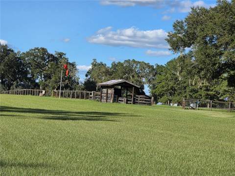 950 W Highway 316, Citra FL - photo 15 of 24