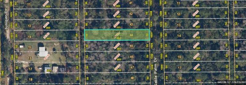 1020 SABLE PALM DRIVE home for sale in Christmas Pines