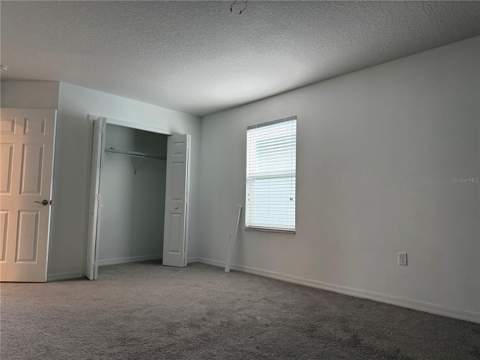 33263 Sycamore Leaf Drive, Wesley Chapel FL - photo 21 of 52