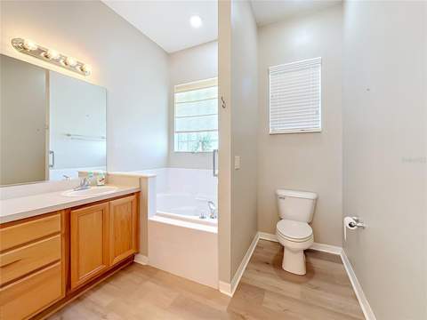 25206 Ormond Court, Leesburg FL - photo 24 of 46