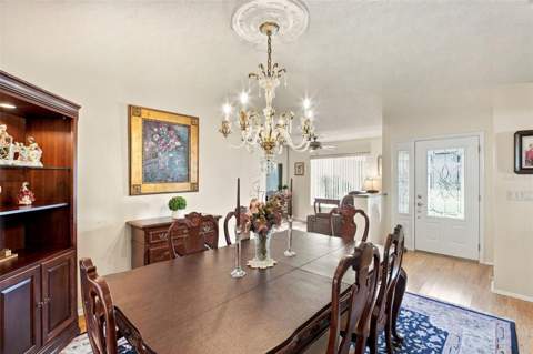 1743 Macdonnell Drive, Palm Harbor FL - photo 6 of 6