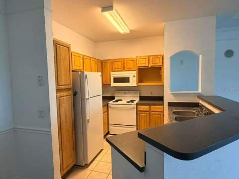 6413 Astor Village Avenue #303, Orlando FL - photo 9 of 15