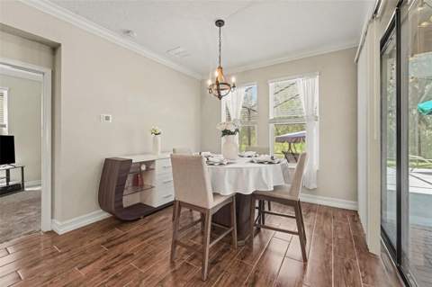 21590 Violet Periwinkle Drive, Land O Lakes FL - photo 12 of 50