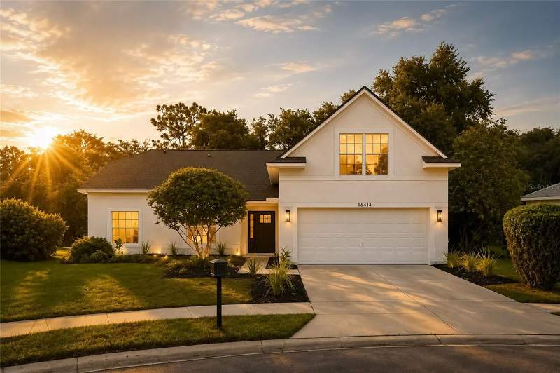 16414 BRIDGELAWN AVENUE home for sale in Fishhawk Ranch