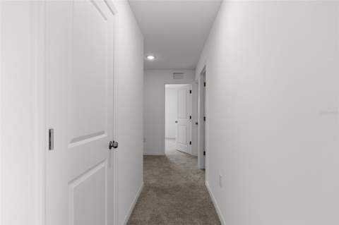 13009 Red Deer Pl, Parrish FL - photo 12 of 17