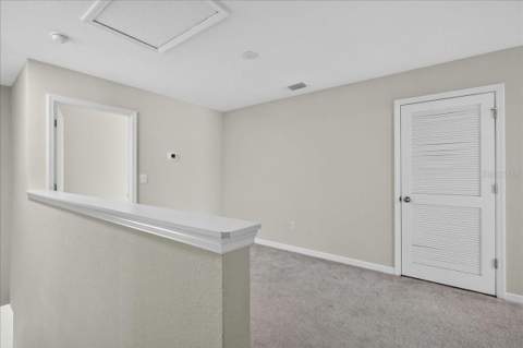 10821 Quickwater Court, Riverview FL - photo 15 of 39