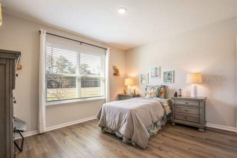 31400 Malbec Drive, Brooksville FL - photo 14 of 21