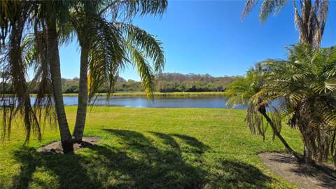 1648 Lago Vista Boulevard, Palm Harbor FL - photo 11 of 58