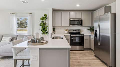 2346 Aveeno Avenue, Haines City FL - photo 10 of 29