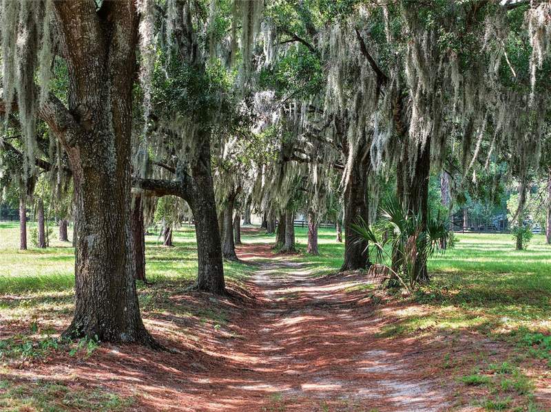4 bedroom Farm at 7555 SW 77th Place, Ocala, Ocala — photo 5
