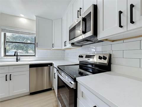 13553 SE 39th Terrace, Summerfield FL - photo 10 of 69