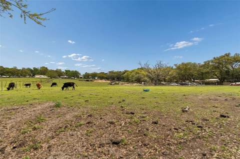 8236 Wire Road, Zephyrhills FL - photo 18 of 18
