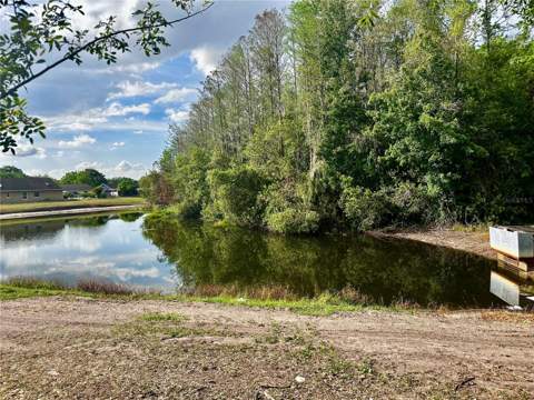 1757 Quail Ridge Loop, Kissimmee FL - photo 20 of 20