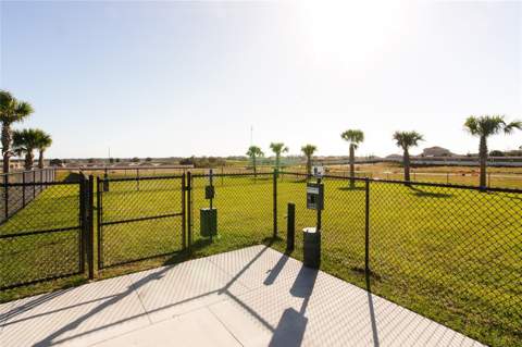 1117 Twins Street, Davenport FL - photo 18 of 20