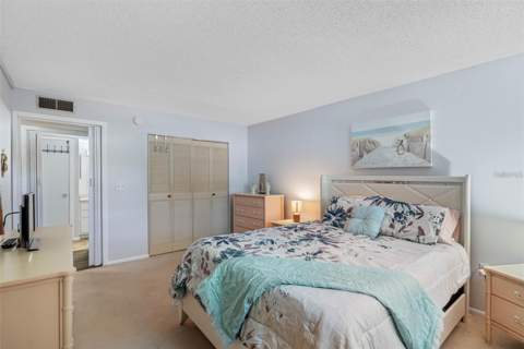 870 Virginia Street #104, Dunedin FL - photo 8 of 21