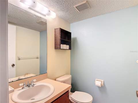 16851 Le Clare Shores Drive, Tampa FL - photo 19 of 53