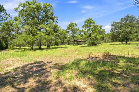 8279 Sunshine Grove Road, Brooksville FL - photo 6 of 76