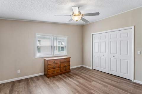 37537 Pinata Avenue, Zephyrhills FL - photo 22 of 33