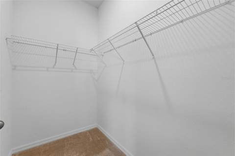 32337 Conchshell Sail Street, Wesley Chapel FL - photo 18 of 56