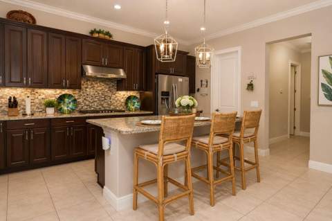 15149 Canoe Place, Winter Garden FL - photo 8 of 65