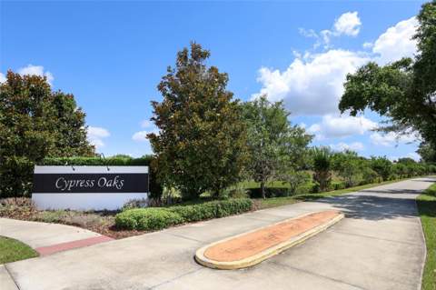 9175 Chandler Drive, Groveland FL - photo 20 of 23