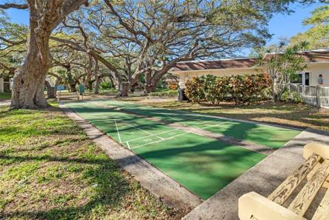 870 Virginia Street #104, Dunedin FL - photo 18 of 21