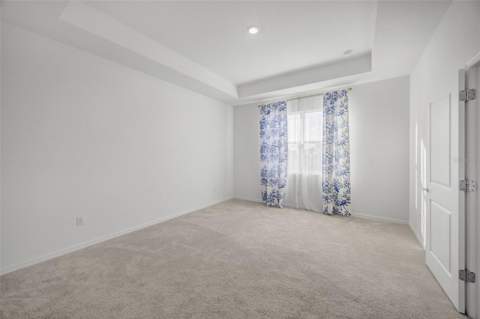 2555 Bending Bonsai Drive, Wesley Chapel FL - photo 21 of 57