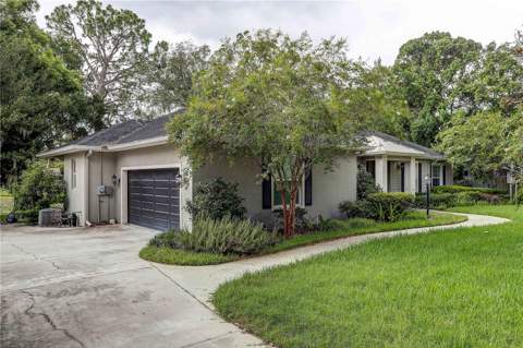 1508 Eckles Drive, Tampa FL - photo 8 of 64