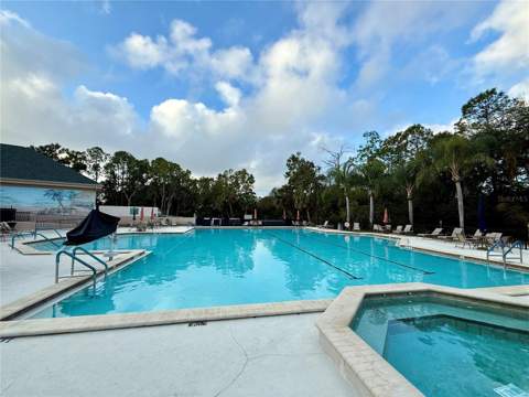 9500 Green Needle Drive, New Port Richey FL - photo 24 of 28