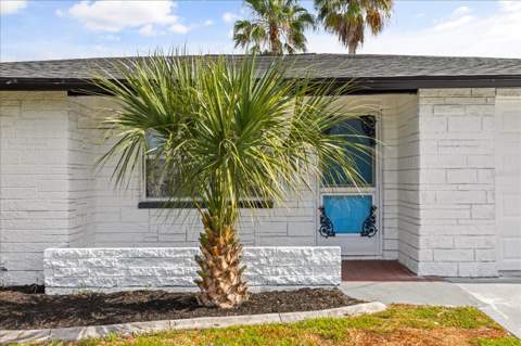 3435 Gulf Coast Drive, Hernando Beach FL - photo 21 of 31
