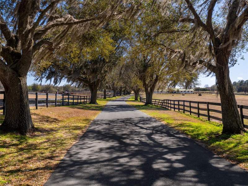 3 bedroom Farm at 11122 W Highway 326, Fellowship Ridge, Ocala — photo 2