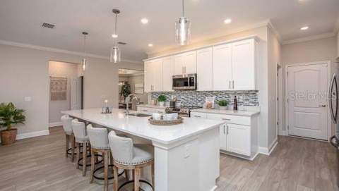 926 Buckeye Drive, Lady Lake FL - photo 6 of 26